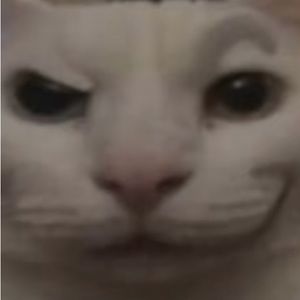 Meet your Posher, Clayton